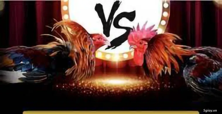 Hướng Dẫn Cách Chơi Đá Gà GA28 Tại 789Win Hiệu Quả Nhất 1 Hướng Dẫn Cách Chơi Đá Gà GA28 Tại 789Win Hiệu Quả Nhất