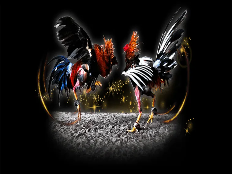 Đá Gà 789Win: Khám Phá Sân Chơi Cá Cược Kịch Tính Hàng Đầu 2025